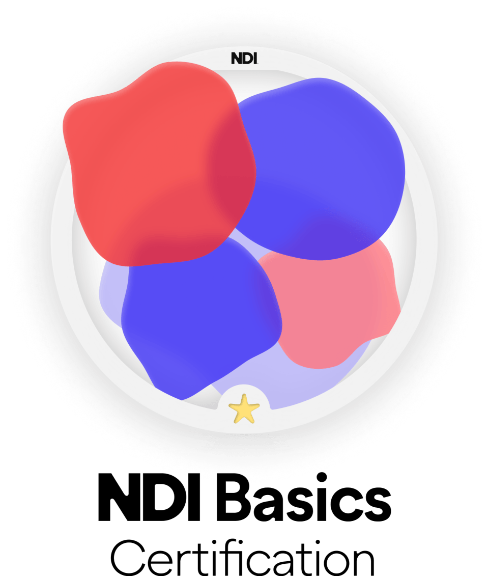 The official icon for the NDI Basics Course