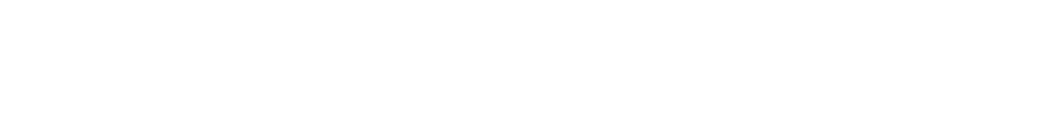 NDI-for-Metadata-Logo-1