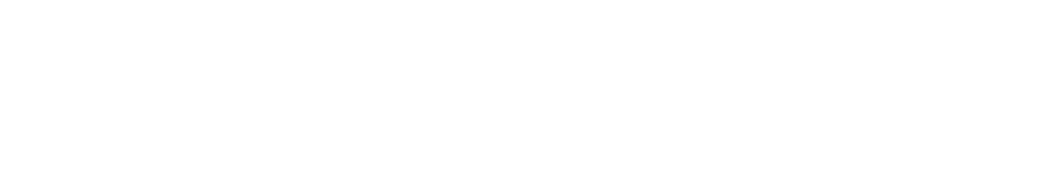 NDI-for-Video-Logo-1